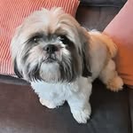 Robbie Douglas - @robbie.douglas.5623 - Instagram