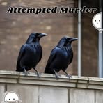 Robert Downing - Facebook