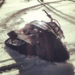 Robbie Dudley - @robbie540 - Instagram