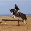 Robbie Dunn - @robbiesunn1976 - TikTok