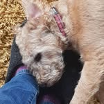 Robbie Ferguson - @mrrobbieferg - Instagram