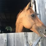 @robbie.flood - Instagram