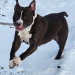Robbie Frazier - @robbie.frazier.73 - Instagram