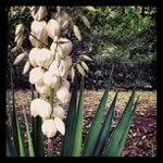 @robbiefrazierl - Instagram