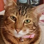 Robbie Freeman - @robbie.freeman.7399 - Instagram