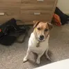 Robbie - @robbie.freeman_ - TikTok
