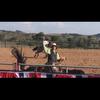 Robbie Harrison - @dospatasandmamas - TikTok