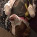 Robbie A Holcomb - Facebook