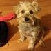 Robbie Holcomb - Facebook