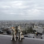 Robbie Hyatt - @robbiehyatt8 - Instagram