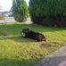 Robbie Johnston - Facebook