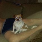 Robbie Knight - @robbieknight1974 - Instagram