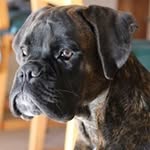 Roberto Leoni - @robbie.leoni - Instagram
