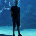 Robbie Lin - @rob6326 - Instagram