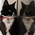 Luna & Robbie - @lunaplusrobbie - Instagram
