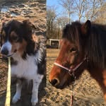 Nina Berger - @luna_robbie_hdt - Instagram