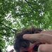 Robbie Major - Facebook