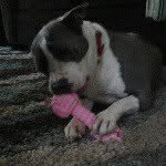Robbie Snow Marks - @snow11122004 - Instagram