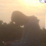 @robbiemartin___ - Instagram
