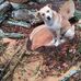 Robbie Matthews - Facebook