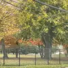 robin.mayfield - @robin.mayfield - TikTok