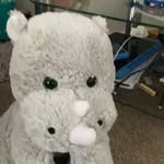 Robbie - @robbiemccann120 - Instagram
