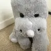 Robbiemccann54 - @robbiemccann13 - TikTok