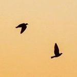 Robbie McClure - @mcclure.robbie - Instagram