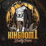 Robbie Randolph - @kd1_bullyfam - Instagram