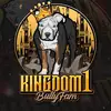 Robbie Randolph - @kd1_bullyfam - TikTok