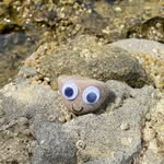 Robbie Rock’s Adventures - @robbierocksadventures - Instagram