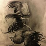 Rob Salas - Facebook