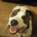 Robbie Springer - Facebook