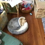 Robbie Steele - @robbiesteele375 - Instagram