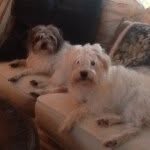 @robbie_thorne_ - Instagram