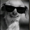 robbie.vickers105o47 - @robbie.vickers105o47 - TikTok