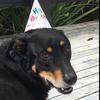 robbie.vickers - @robbie.vickers - TikTok