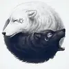 Robert Westbrook - @robertwestbrook0 - TikTok