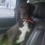 Robbie Whitehead - @racin_roob - Instagram