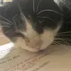 robbie - @robbie._.workman - TikTok
