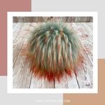 Robin Allen - @thepomlady - Instagram