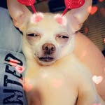 Robbin Green - @robbingreen72 - Instagram