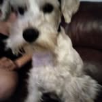 Robbin Greenberg - @robbin.greenberg - Instagram