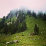 Robbin Walker - @robbinwalker50 - Instagram