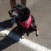 Robbin Watson - Facebook