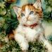 Robin Mayo Watson - Facebook