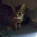 Robby Elliott - Facebook