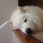 Robby Hill - @robbyhill4165 - Instagram