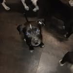 Robbie Hudson - @robbie.hudson - Instagram