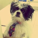 Robby Jackson - @robby_jackson_dogg - Instagram